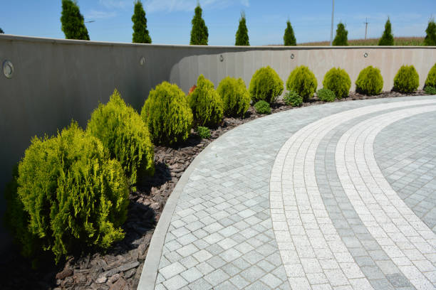 Best Custom Driveway Pavers  in Long Neck, DE